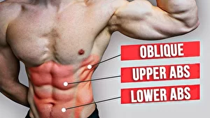 upper-lower-abs